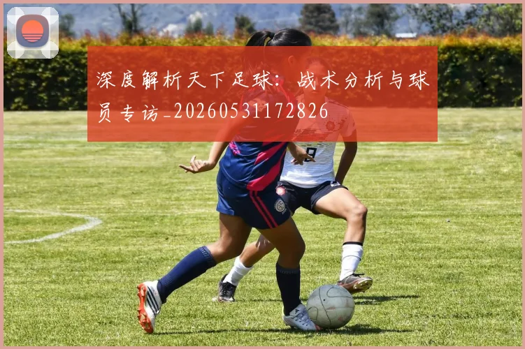 深度解析天下足球：战术分析与球员专访_20260531172826